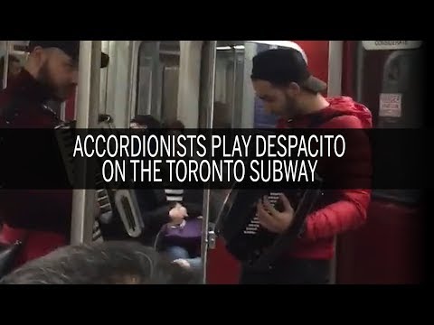 luis-fonsi's-despacito-ft.-daddy-yankee-on-the-accordion