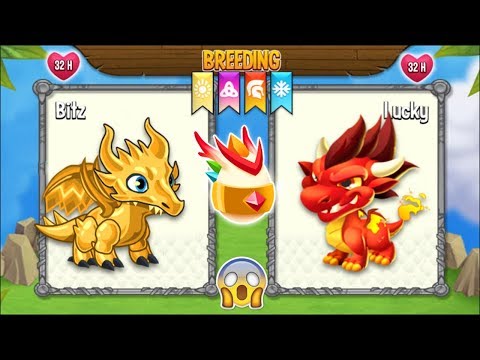dragon city terra tokens