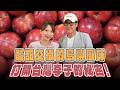 '26.08.09【超級玩樂大帝國】「酸甜交織的島嶼風味，打開台灣李子的秘密！」專訪農業部苗栗農改場副研究員張雅玲