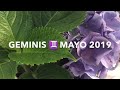 GEMINIS ♊️ MAYO 2019 🙏💜 UN MES IMPRESIONANTE DE TRANSFORMACIÓN. NUEVA VIDA UN AMOR MUY ESPECIAL 🌈❤️🦋