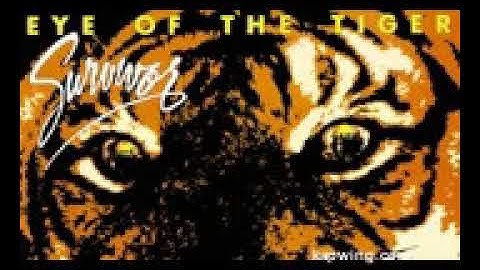 Eye of the tiger TABATA count