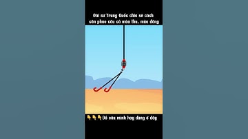 P2. Đài sư Trung Quốc chia sẻ cách cân phao câu cá mùa thu và mùa đông #fishing #thinhhanh #trending