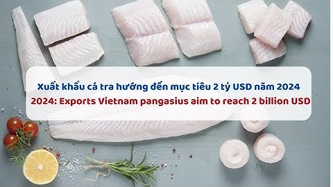 VASEP Highlight - T1/2024: Cá tra