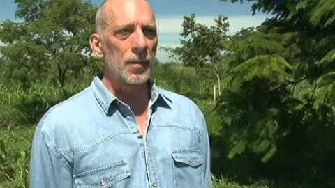 Manejo de sistemas agroflorestais com espécies nativas e culturas anuais - Dia de Campo na TV