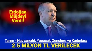 Tarım yapacak gençlere ve kadınlara 2.5 milyon TL genç çiftçi kredisi müjdesi geldi: Başvuru nasıl