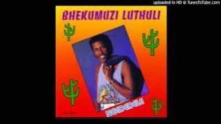 Bhekumuzi luthuli - Imali Yezibizo