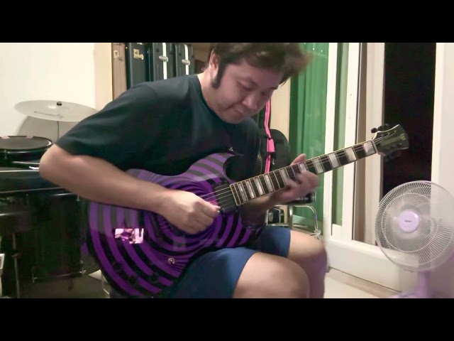 Black Label Society : Set You Free (Solo) cover by Zakkyos class=