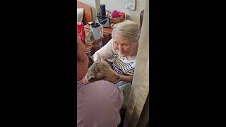 Christian Care Center of Medina - NSNC Week '24 Day 3 (Petting Zoo)