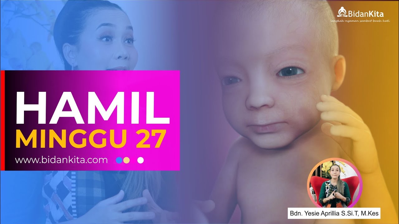 Minggu 27- Kehamilan dari Minggu ke Minggu