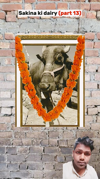Sakina ki dairy (part 13)🤣🤣🤣🤣 #comedy 0 #funny #like #subscribe