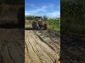 Trator valtra a950r limpando o chão para colocar a silagem de milho #trator #pecuarista #agro
