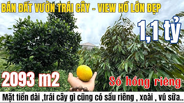 Bán đất vườn cây ăn trái có view hồ lớn đẹp , khu vực dân cư giá rẻ | pháp lý rõ ràng