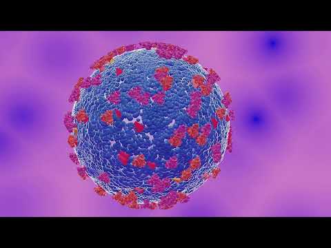 viruses| shapes of viruses| life cycle of viruses|