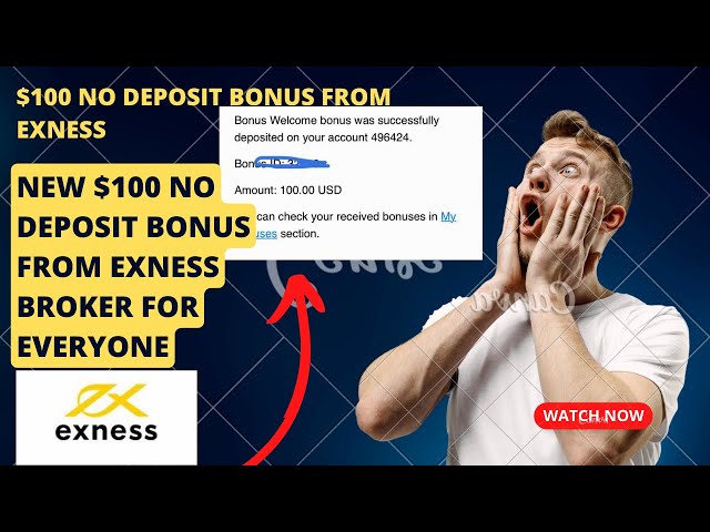 Why Some People Almost Always Make Money With Exness Demo Trading Platform