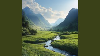 Open Meadow