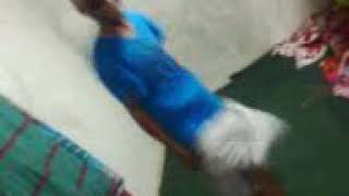 Longgi Dance