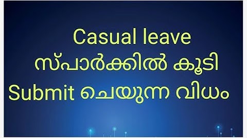 casual leave/Commuted/Maternity/Half pay/Loss of wage submission on Spark