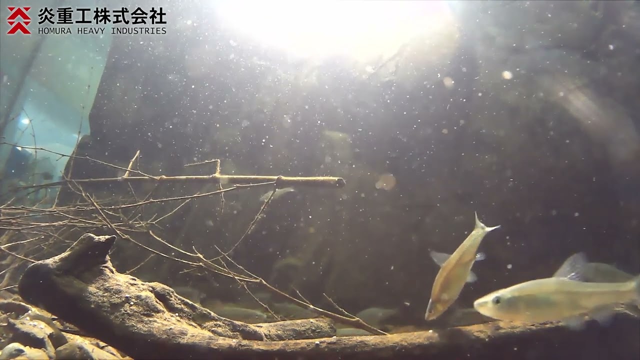 スポンジボブ　UNDERWATER CAMERA 水中カメラ　レア USB水中カメラ (水深10m)｜炎重工株式会社