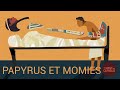 Des papyrus qui cartonnent ! thumbnail