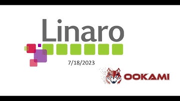 Linaro Forge DDT Webinar on Ookami