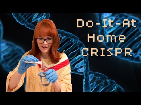 DIY CRISPR Kit