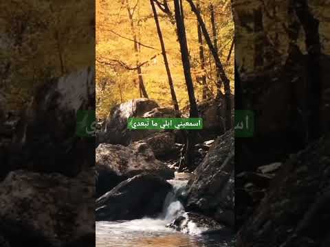 هاني شاكر اسمعيني ابلي ما تتغربي حالات واتساب مغتربة بفرنسا