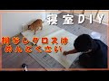 寝室DIY　糊なし壁紙に挑戦！糊付け作業の一部始終！！