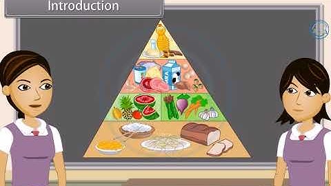 Why Do We Fall ill | Science class 9th chapter 13 | 9th science chapter 13