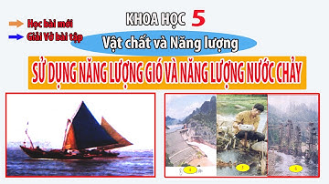 Khoa học 5 - Sử Dụng Năng Lượng Gió và Năng Lượng Nước Chảy -Thành Trung online School