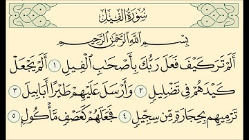 105 سورة الفيل بصوت الشيخ محمد اللحيدان suret al fyel