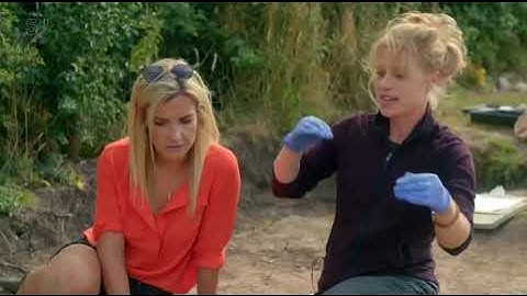 Digging Up Britain