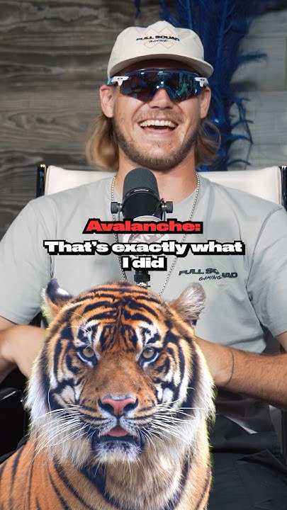 Guess The Imposter CHALLENGE 🐅 (TIGER EDITION) Part 1 🔥 - YouTube