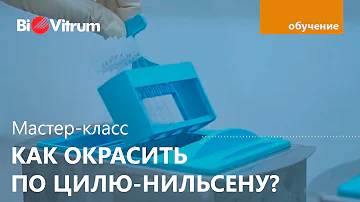 Окраска по Цилю Нильсену