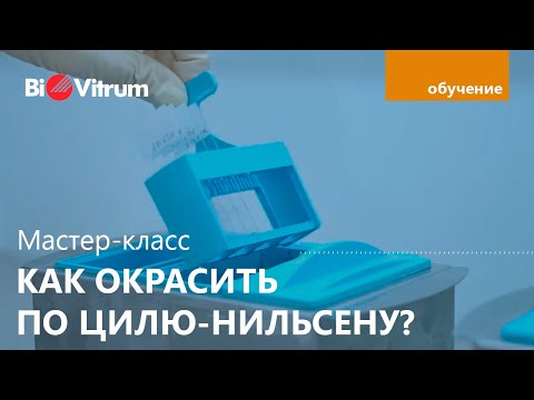 Video: Карбол Фуксин такын кантип жасайсыз?