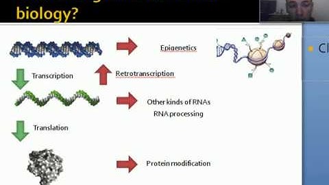Mexicoder bioinformatics - Session 2.2   Central dogma and epigenetics