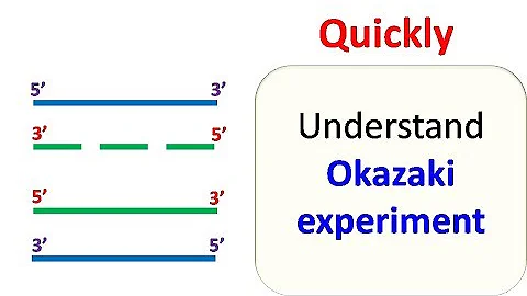 Okazaki experiment