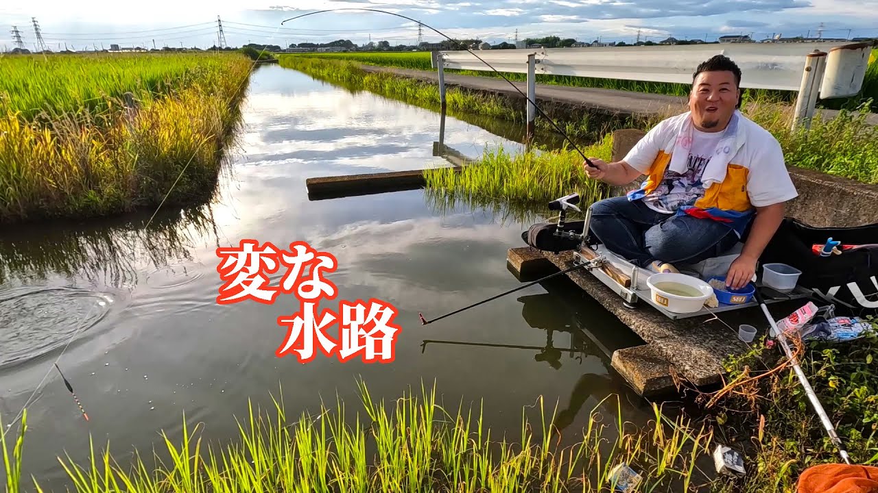 ヘンな構造の水路で小鮒釣りに没頭しよう