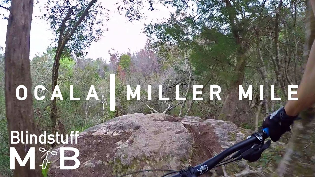 Mountain Biking Miller Mile at Ocala, FL YouTube