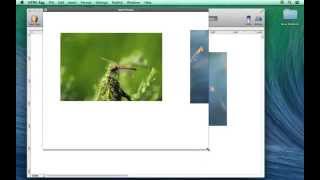 Click to enlarge web page photo background settings