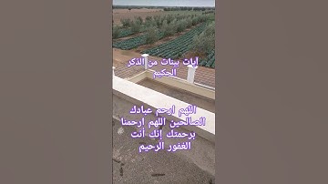 آيات بينات من الذكر الحكيم #quran #explore #قران #قرانكريم #القرآن_الكريم #اكسبلور