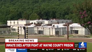 Inmate dies after fight at Wayne County prison