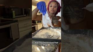 How Dog Owners Feed Their Dogs shorts short funny