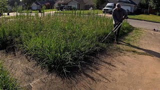 Multiple FAMILIES PRAISED us for RESTORING this yard - this HOUSE was in FORECLOSURE