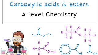Carboxylic acids & Esters | A level Chemistry Ultimate Guide
