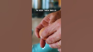 How to protect your plants from slugs🥚