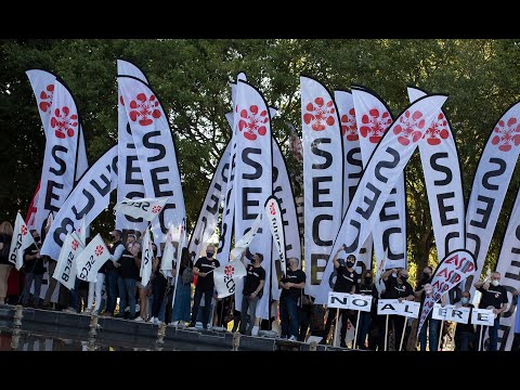 SECB CONCENTRACIÓN 28 de OCTUBRE 2022 VALENCIA