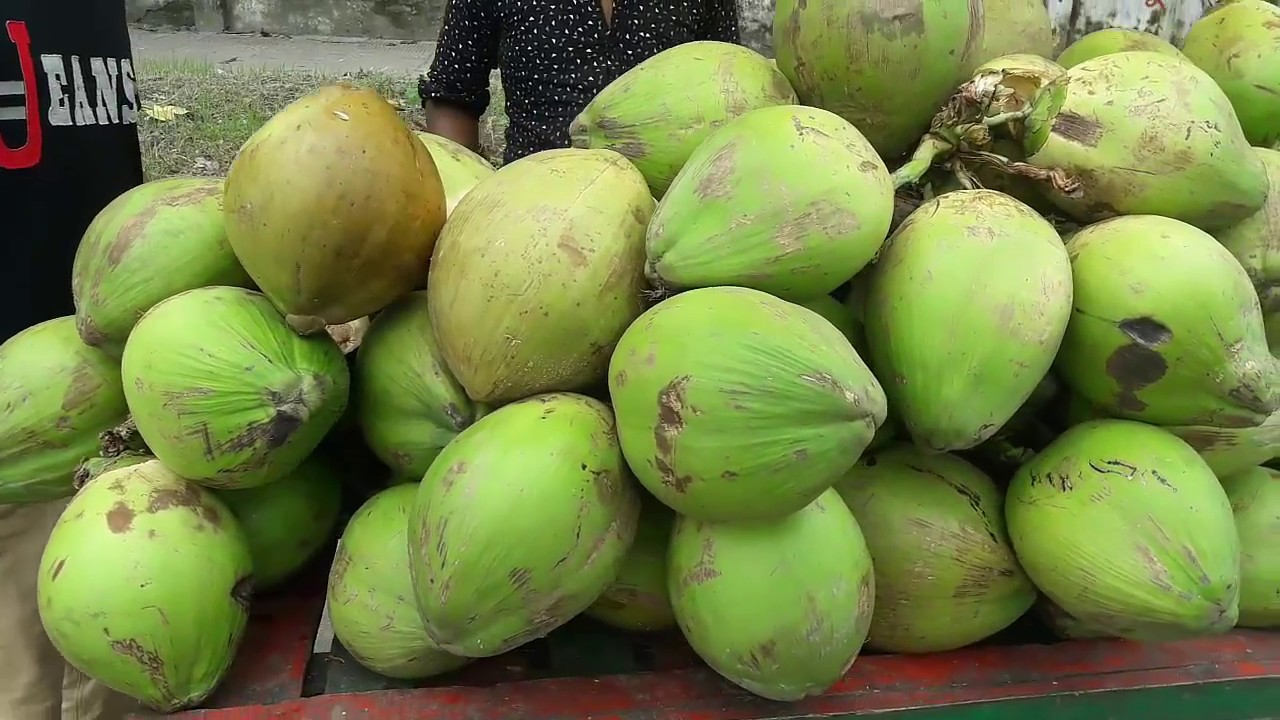 Cutting and Eating Pulpy Green Coconut/ Daab in a Street of Dhaka |Street Food Finder