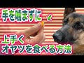 上手にオヤツを食べる方法