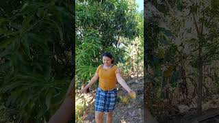 A pedradas bajo los mangos😂😂😂😂 #humor #holiaci #humor #holiaci #comedy