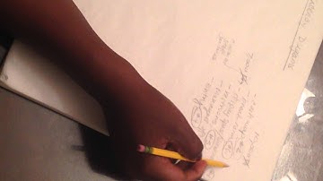 Adjacency Diagram Demo